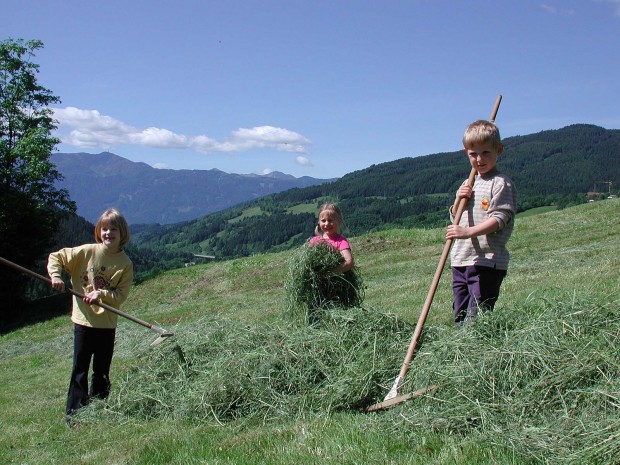 Kinder haben Spaß auf dem Feld beim Simonbauer